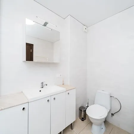 Apartment Erdvus Triju Kambariu Butas, Naujos Statybos Name Kaunas